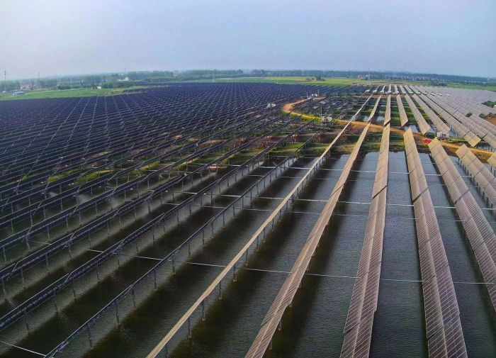 Sourcing long term renewable energy for Philips